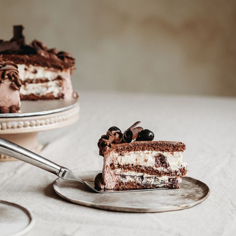 Slice of layered chocolate cake with berries on a plate, with a fork beside it.